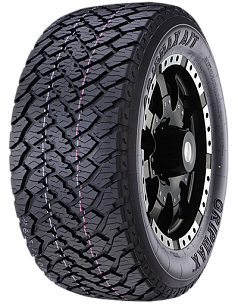 Летние шины 255/55 R20 Gripmax Inception A/T 110H XL RWL